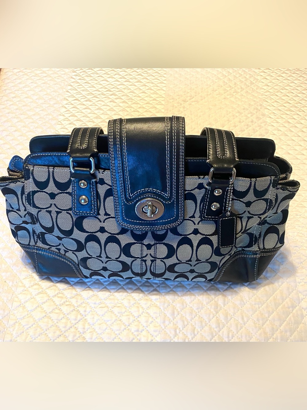 Coach Hampton Signature Carryall in Black